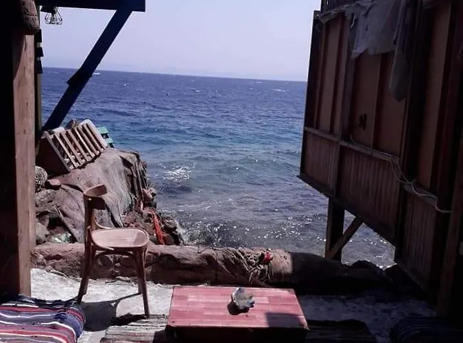 Fighting Kangaroo Camp * Dahab