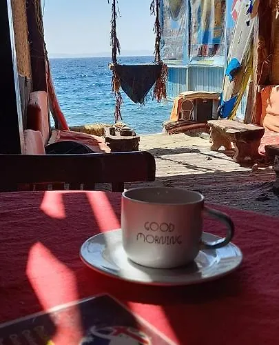 Fighting Kangaroo Camp * Dahab