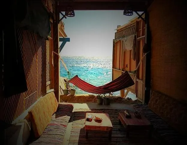 Fighting Kangaroo Camp * Dahab