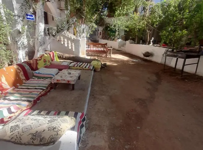 Fighting Kangaroo Camp Dahab